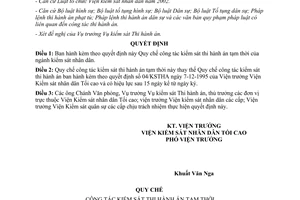 Quyết định 156/2004/QC-KSTHA kiểm sát thi hành án tạm thời ngành kiểm sát nhân dân