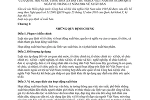 Luật Xuất bản 2004 30/2004/QH11