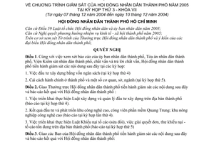 Nghị quyết 19/2004/NQ-HĐ chương trình giám sát của Hội đồng nhân dân Thành phố năm 2005 tại kỳ họp thứ 3 - khóa VII