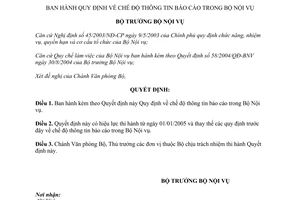 Quyết định 88/2004/QĐ-BNV chế độ thông tin báo cáo Bộ Nội vụ