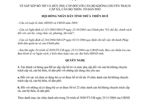 Nghị quyết 3f/2004/NQ-HĐND5 mức phụ cấp cán bộ không chuyên trách cấp xã thôn tổ dân phố Thừa Thiên Huế