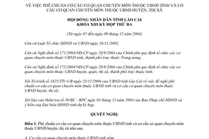 Nghị quyết 28/2004/NQ-HĐND cơ cấu cơ quan chuyên môn Ủy ban nhân dân Lào Cai