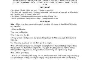 Nghị định 206/2004/NĐ-CP quản lý lao động, tiền lương thu nhập trong công ty nhà nước