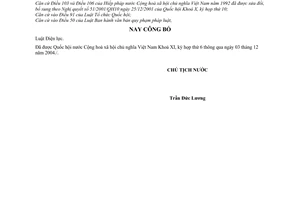 Lệnh công bố Luật Điện lực 24/2004/L-CTN