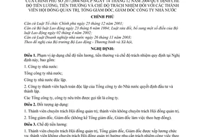 Nghị định 207/2004/NĐ-CP chế độ tiền lương, tiền thưởng trách nhiệm của thành viên Hội đồng quản trị, Tổng giám đốc,Giám đốc công ty nhà nước