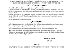 Quyết định 10/2004/QĐ-TTg Quy chế hoạt động  Ban Chỉ đạo Chương trình hành động phòng, chống tội phạm buôn bán phụ nữ, trẻ em