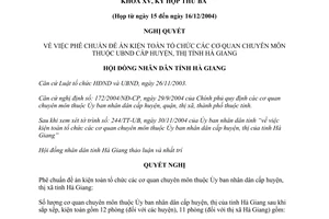 Nghị quyết 36/2004/NQ-HĐND kiện toàn cơ quan chuyên môn thuộc UBND cấp huyện thị tỉnh Hà Giang