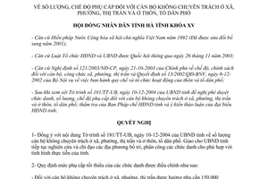 Nghị quyết 06/NQ-HĐND/2004 số lượng phụ cấp cán bộ không chuyên xã phường thị trấn Hà Tĩnh