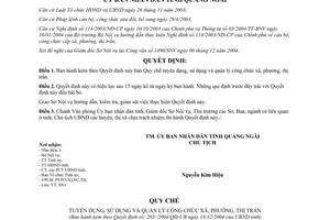 Quyết định 263/2004/QĐ-UB Quy chế tuyển dụng sử dụng quản lý công chức Quảng Ngãi