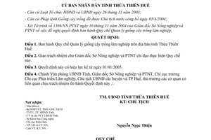 Quyết định 4301/2004/QĐ-UB Quy chế quản lý giống cây trồng lâm nghiệp Huế