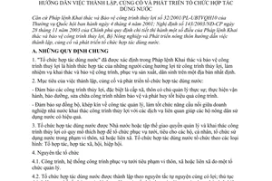 Thông tư 75/2004/TT-BNN hướng dẫn thành lập củng cố phát triển tổ chức hợp tác dùng nước