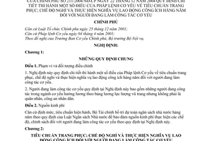Nghị định 211/2004/NĐ-CP hướng dẫn Pháp lệnh Cơ yếu về tiêu chuẩn trang phục, chế độ nghỉ thực hiện nghĩa vụ lao động công ích