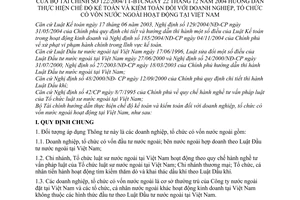 Thông tư 122/2004/TT-BTC hướng dẫn chế độ kế toán kiểm toán doanh nghiệp tổ chức vốn nước ngoài hoạt động Việt Nam