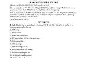 Quyết định 216/2004/QÐ-UB tổ chức các cơ quan chuyên môn thuộc Ủy ban nhân dân Bắc Ninh
