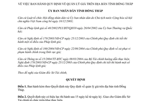 Quyết định 101/2004/QĐ.UB Quy định quản lý giá trên địa bàn tỉnh Đồng Tháp