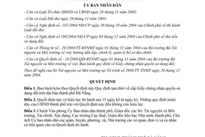 Quyết định 210/2004/QĐ-UB Quy định tạm thời cấp Giấy chứng nhận quyền sử dụng