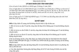 Quyết định số 3244/2004/QĐ-UB số lượng cán bộ không chuyên trách cấp xã mức phụ cấp tỉnh Ninh Bình