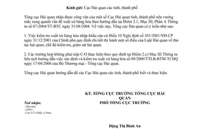 Công văn 19/TCHQ-GSQL vướng mắc về C/O