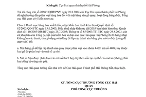 Công văn 26TCHQ/GSQL phân loại hàng hóa mặt hàng sàn gỗ quay, hoạt động bằng điện