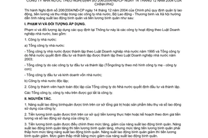 Thông tư 09/2005/TT-BLĐTBXH hướng dẫn tính năng suất lao động tiền lương bình quân công ty nhà nước theo Nghị định 206/2004/NĐ-CP