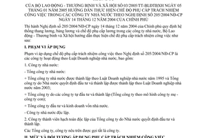 Thông tư 03/2005/TT-BLĐTBXH hướng dẫn chế độ phụ cấp phụ cấp trách nhiệm công việc công ty nhà nước theo Nghị định 205/2004/NĐ-CP