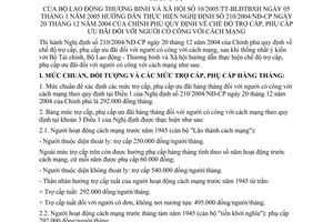 Thông tư 10/2005/TT-BLĐTBXH chế độ trợ cấp phụ cấp ưu đãi người có công cách mạng hướng dẫn Nghị định 210/2004/NĐ-CP