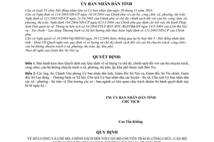 Quyết định 67/2005/QĐ-UBND số lượng và chế độ, chính sách cán bộ chuyên trách