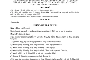 Nghị định 04/2005/NĐ-CP khiếu nại, tố cáo về lao động hướng dẫn Bộ luật Lao động