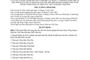 Quyết định 12/2005/QĐ-TTg Đề án bổ sung sắp xếp đổi mới doanh nghiệp nhà nước thuộc Tổng công ty Điện lực Việt Nam đến năm 2005