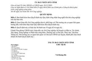 Quyết định 131/2005/QĐ-UBND Quy định công nhận làng nghề tiểu thủ công nghiệp