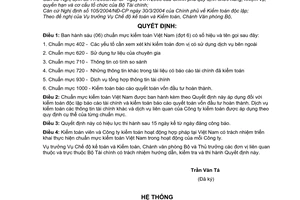 Quyết định 03/2005/QĐ-BTC  sáu chuẩn mực kiểm toán Việt Nam đợt 6