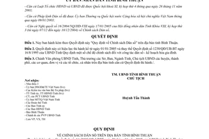 Quyết định 04/2005/QĐ-UBBT Chính sách Dân số Bình Thuận