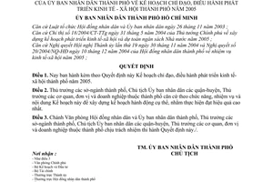Quyết định 14/2005/QĐ-UB Kế hoạch chỉ đạo, điều hành phát triển kinh tế - xã hội thành phố năm 2005