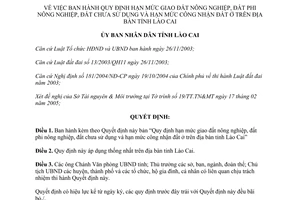 Quyết định 69/2005/QĐ-UB hạn mức giao đất nông nghiệp