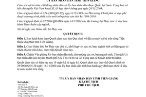 Quyết định 05/2005/QĐ-UB Quy định đầu tư nuôi cá bè trên sông Tiền