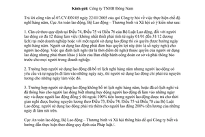 Công văn 45/ATLĐ-CSQP thực hiện chế độ nghỉ hàng năm