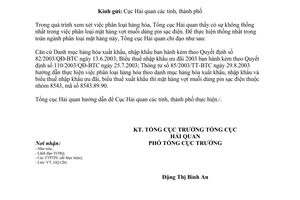 Công văn 858TCHQ/GSQL phân loại mặt hàng vợt muỗi dùng pin sạc điện