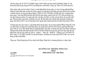 Công văn 867TCT/DNNN hoàn thuế giá trị gia tăng (GTGT) của hàng hóa xuất khẩu