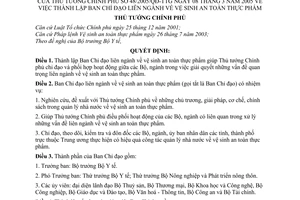 Quyết định 48/2005/QĐ-TTg thành lập Ban Chỉ đạo liên ngành vệ sinh an toàn thực phẩm