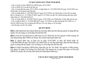 Quyết định 425/2005/QĐ-UB  Quy định tạm thời đấu giá quyền sử dụng đất