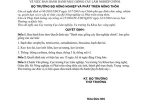 Quyết định 13/2005/QĐ-BNN Danh mục giống cây lâm nghiệp chính