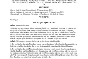 Nghị định 36/2005/NĐ-CP hướng dẫn Luật Bảo vệ, chăm sóc và giáo dục trẻ em