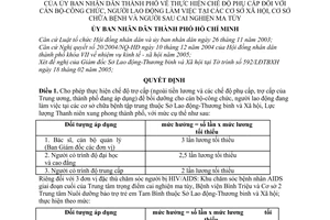 Quyết định 45/2005/QĐ-UB thực hiện chế độ phụ cấp cán bộ-công chức, người lao động làm việc cơ sở xã hội, chữa bệnh người sau cai nghiện ma túy