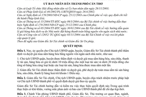 Quyết định 19/2005/QĐ-UB ủy quyền thẩm định và duyệt giá mua sắm hàng hóa
