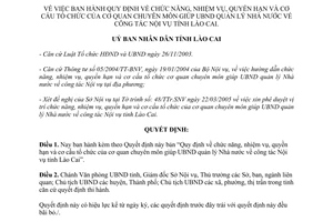 Quyết định 128/2005/QĐ-UBND chức năng nhiệm vụ quyền hạn cơ cấu cơ quan chuyên m