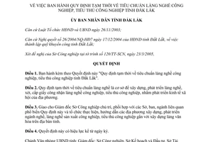 Quyết định 513/QĐ-UB 2005 Tiêu chuẩn làng nghề công nghiệp tiểu thủ công nghiệp Đắk Lắk