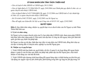 Quyết định 1011/2005/QĐ-UB chức năng nhiệm vụ quyền hạn cơ cấu tổ chức Sở Ngoại vụ Thừa Thiên Huế