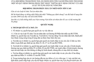 Nghị quyết 01/2005/NQ-HĐTP hướng dẫn thi hành quy định trong Phần thứ nhất "Những quy định chung của Bộ luật Tố tụng dân sự năm 2004"