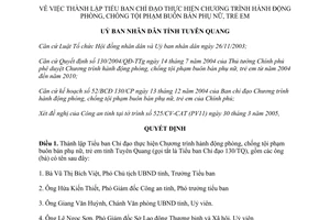 Quyết định 28/2005/QĐ-UB tiểu ban chỉ đạo phòng chống buôn bán phụ nữ Tuyên Quang