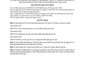 Quyết định 24/2005/QĐ-BTC 03 tiêu chuẩn thẩm định giá Việt Nam